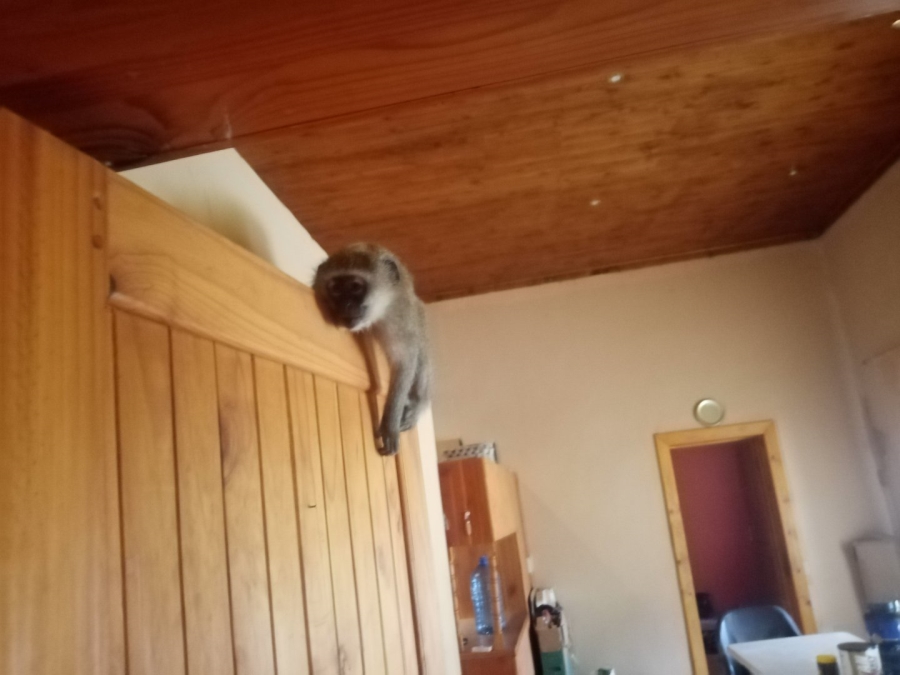 3 Bedroom Property for Sale in Petrusburg Free State